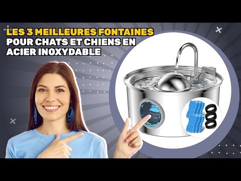 Les 3 meilleures fontaines pour chats et chiens en acier inoxydable 2025: mon classement définitif