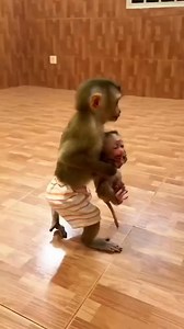 456K views · 10K reactions | Baby monkeys abandoned by their biological mothers #animals #love #shorts | Life of Paws | Facebook