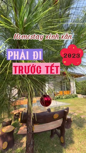 Top Homestays to Visit Before Tết 2023