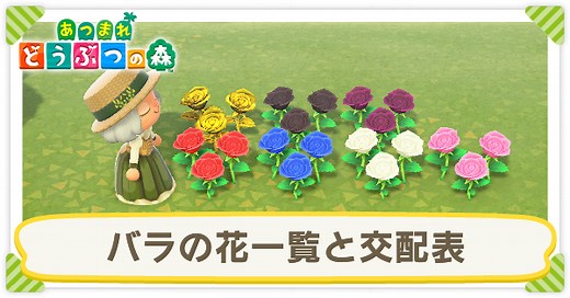 【あつ森】バラの花(種類)一覧と交配表【あつまれどうぶつの森】｜ゲームエイト