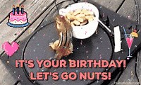 View 28 Happy Birthday Gif For Her Funny