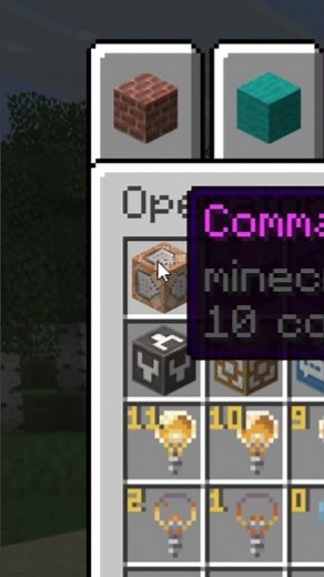 How Pros get Command Blocks in Minecraft 🧮 #shorts