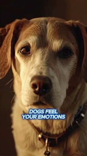 3 Dog Psychology Facts Every Owner Should Know 🐶🧠 | Dog Mind Facts