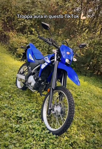 Lo so che avete percepito l’aura già 10 TikTok prima 🔥