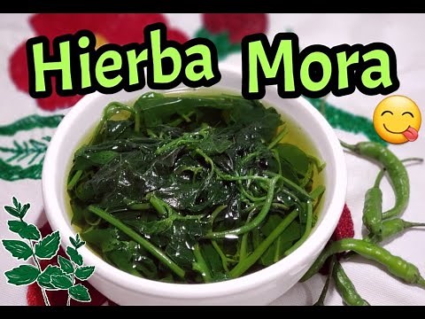 CALDO DE HIERBA MORA..."El Sazón De Doña Tere". #hierbamora #caldodehierbamora #elsazondedoñatere