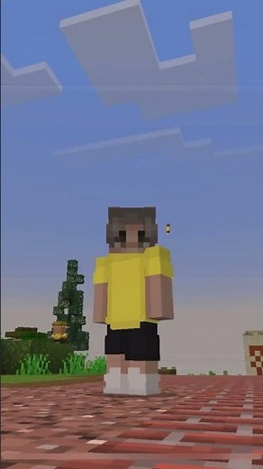 How to make your Minecraft skin seeable for other players