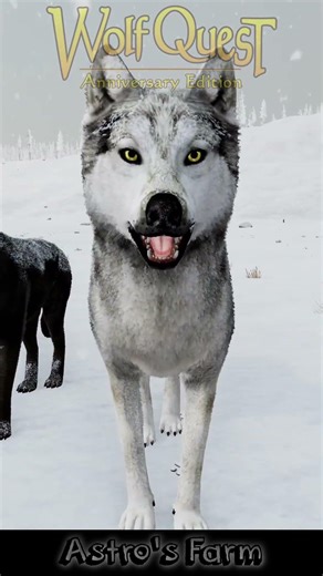 Wolf on the hunt for food in the snow in WolfQuest: Anniversary Edition by #astrosfarm