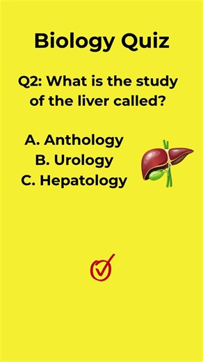 🇺🇸 4 Easy Questions People STILL Fail 🤯