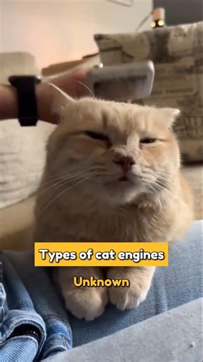 Types of cat engines by sound