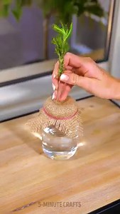 22M views · 59K reactions | Easy plant hacks to grow a garden on your windowsill! | 5-Minute Crafts | Facebook