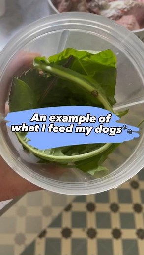 Easy Homemade Raw Dog Food Recipe