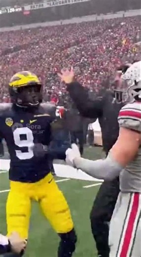Michigan vs Ohio state fight!