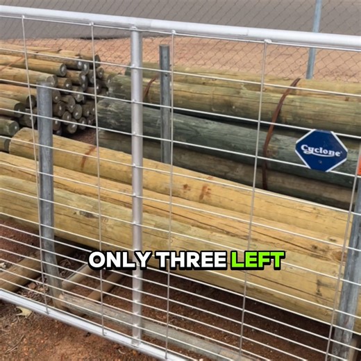 [EDIT: SOLD OUT!] 𝗢𝘂𝗿 $𝟵𝟵 𝗖𝘆𝗰𝗹𝗼𝗻𝗲 𝟮.𝟰𝗺 𝗙𝗮𝗿𝗺 𝗚𝗮𝘁𝗲𝘀 𝗮𝗿𝗲 𝗮𝗹𝗺𝗼𝘀𝘁 𝗴𝗼𝗻𝗲— only 3 left in stock. Heavy-duty galvanised steel from Cyclone Fencing Vertical brace to prevent sagging The ideal width for paddocks, driveways and access points. Need hinges? Add a set for just $34. Great value. Built to last. Call 9755 5279 to secure yours or drop in before they’re gone. | Cowaramup Agencies