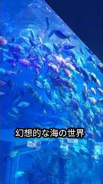 鳥羽で食べて、遊んで、また練習🎻｜コンサートツアーの合間の一泊旅