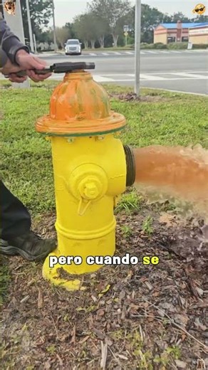 Why do we need to turn on the city fire hydrant? #foryoupage #didyouknow #amazing #fyp
