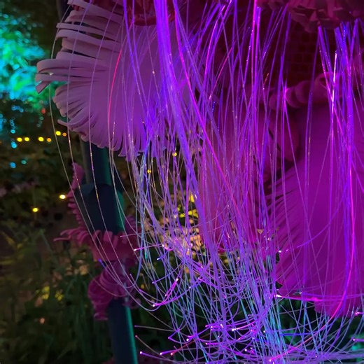 153K views · 30 reactions | Let your imagination run wild as you get transported to a world full of botanical wonder. These fun-filled family-friendly evenings feature fantastical crafts and activities, atmospheric music, and the chance to meet real-life friends from distant galaxies. | New England Botanic Garden at Tower Hill | Facebook