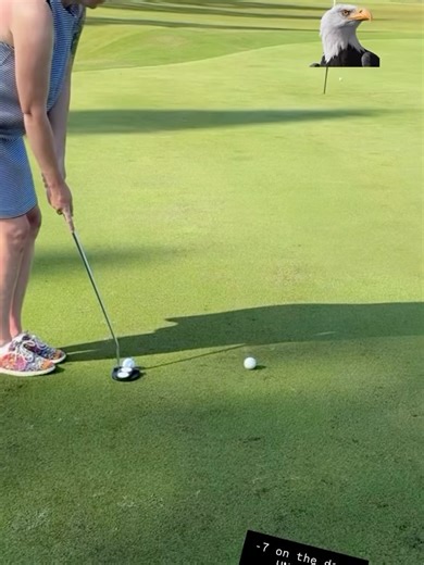 Beautiful Golf Courses on Reels