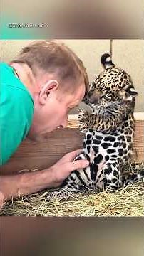 Heartwarming Bond 💕 Between Animals and Humans ❤️ #shorts