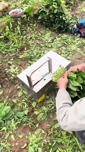 proceso de fresado de madera #shorts