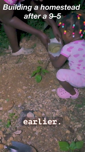 After using chicken manure… this is the next step 🇯🇲