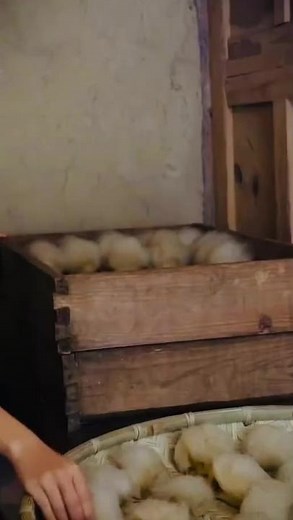 Tofu Preparation Process: Step-by-Step Guide