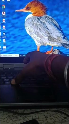 how to shutdown system, laptop using function key