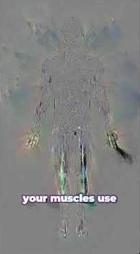 What Happens When You Eat Eggs Every Day For A Month