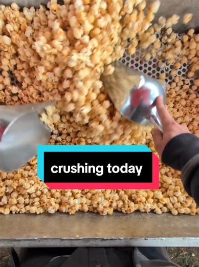 crushing today 🍿 #kettlecorn #lincolnlandkettlecorn #popcornnate | Kettle Corn Popcorn