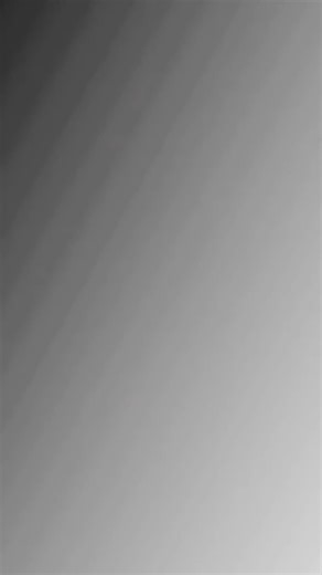 Exploring All Standard Cameras for Mobile Users