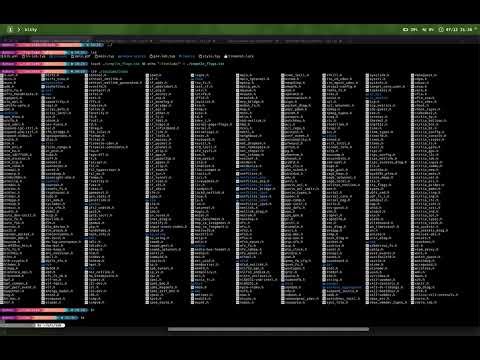computer graphics, mips i labs and something else