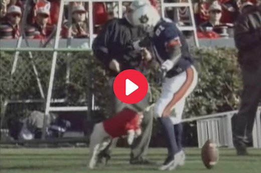 Remember When Uga Snapped at an Auburn Player's Crotch?