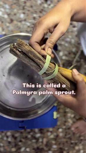 Addagulla Yashasri | Clinical Nutritionist | Thegalu (Palmyra palm sprout) is a traditional seasonal root vegetable, naturally rich in dietary fiber and low in glycaemic index. It... | Instagram