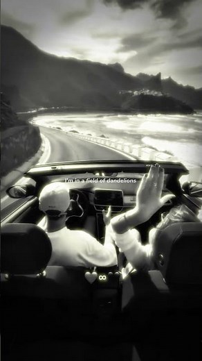 Dandelions - Ruth B || aesthetic edit || lyrics edit || slowed || speed up || reverb ||