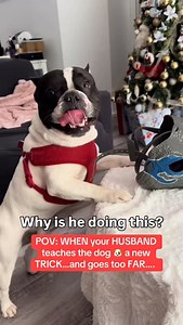 17K views · 61 reactions | Why is this little guy so weird about his mask. I think he’s just a dog who resource guards. Do you agree? #dogbehavior #resourceguarding #anxiousdog #reactivedog | Thinking Canine | Facebook