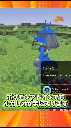 🌱ルカリオ・メガルカリオの入手方法【マイクラ統合版｜Pokédrock】