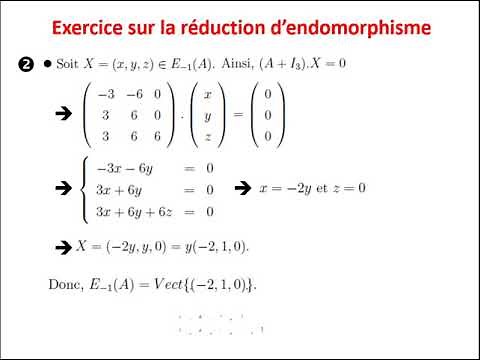 Exercise on endomorphism reduction.
