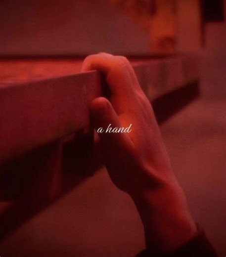 forbid she shows emotion aka the d*ffers not letting steve cry until the last scene #steveharrington #steveharringtonedit #strangerthings #joekeery #joekeeryedit