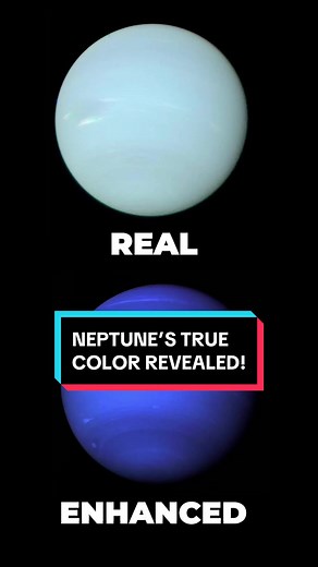 Neptune's True Color Revealed: It's Not Dark Blue!