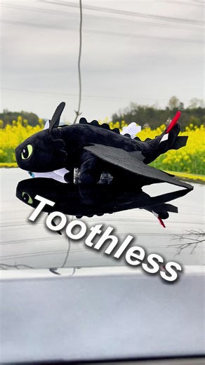 Training your Toothless 101😂🤣🤣#newyearnewme #Toothless #httyd #caraccessories #fyp