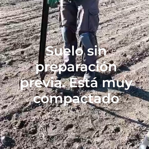 Asociacion Reforesta 🌳 on Instagram: "🌳Hay muchos factores que afectan al éxito de una reforestación. Además de a los factores ambientales (estado del suelo, temperatura, precipitación, herbivoría), a la selección de especies y al método de plantación, es muy importante prestar atención también a: ▶ El coste económico, puesto que si logramos el mismo resultado con un coste menor podremos plantar más y mantener mejor los árboles. ▶ La ergonomía y seguridad laboral de quienes plantan. No es lo m