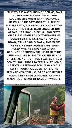 The Moment He Chose Mercy Over Fear 🐺💔