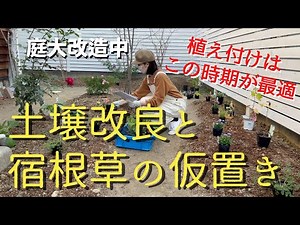 【宿根草の庭づくり】【おすすめ宿根草の植付け①】【土壌改良と苗ポットの仮置き】【雑草だらけの庭が半年で激変】ガーデニング