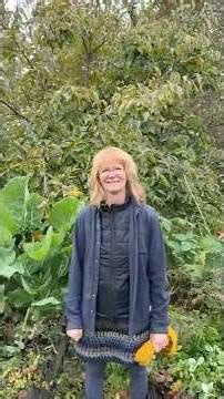 Less Stuff, More Life!