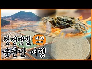 생태보고 순천만! #철새 #전통방식소금 #칠게 #밥도둑