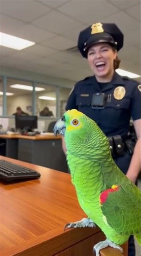 This parrot’s humor your algebra skills 😂🦜