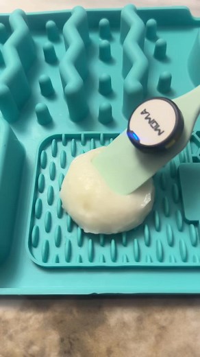 Homemade Dog Food Recipes for Your Wiener Dog