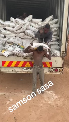 Samson 170 (@samson.170)’s videos with son original - 𝔽𝕚𝕝s 𝔻e 𝕝a ℙℝ𝕆𝕄𝔼𝕊S𝔼⚡