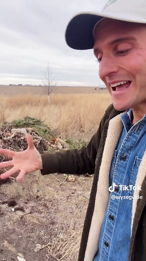 Exploring the Stages of Composting