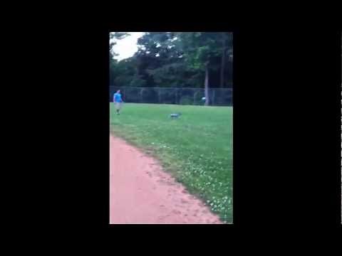 Extreme Dog Arthritis. Heartbreaking Video! Old Dog drags his back legs to walk. Watch the End!