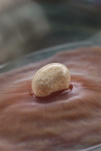 How a Pearl Forms Inside an Oyster 🦪 | #shrots